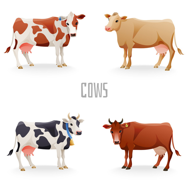 Různé krávy - Vektor, obrázek