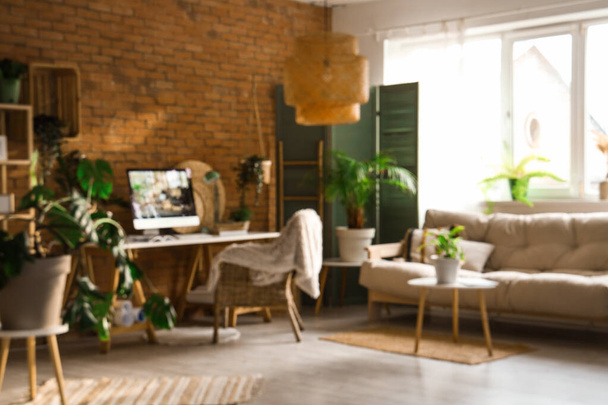 Vista borrosa de la oficina con lugar de trabajo, plantas verdes y sofá - Foto, imagen