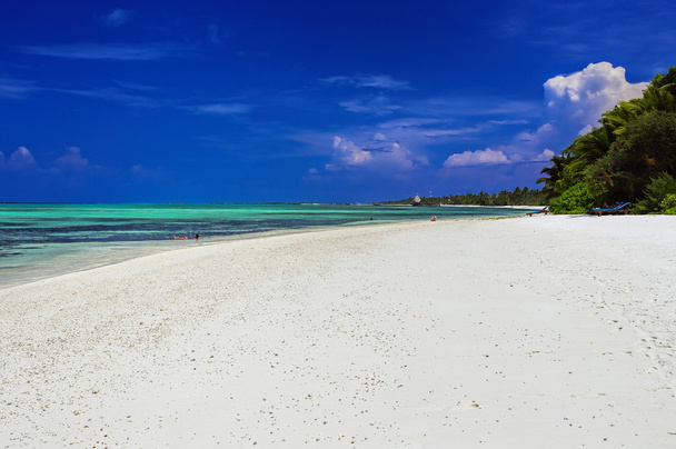 Aurinkoinen trooppinen ranta Malediivien saarella
 - Valokuva, kuva