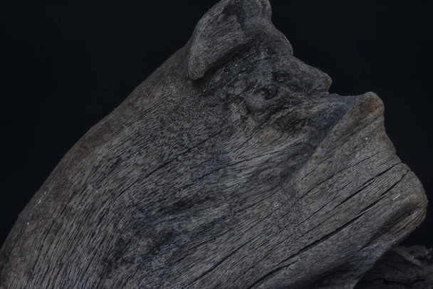 detailní povrchová textura vyschlého bloku naplaveného dřeva. - Fotografie, Obrázek