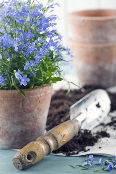 sztuka narzędzia ogrodnicze - Zdjęcie, obraz