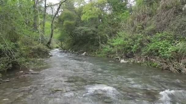 горная река с камнями в лесу
 - Кадры, видео