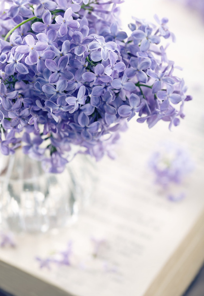 Kimppu violetti lila kevään kukkia
 - Valokuva, kuva