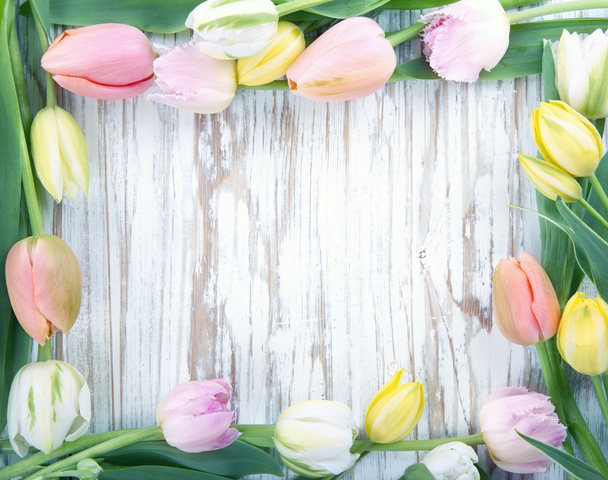 Fundo de madeira com tulipas coloridas
 - Foto, Imagem