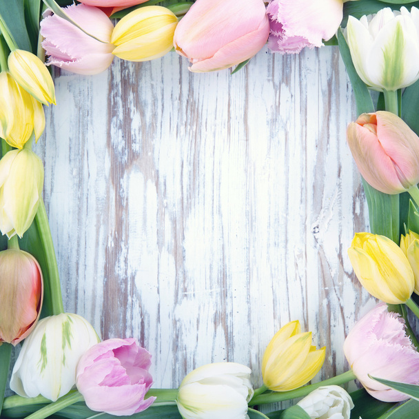 Színes tulipán fa háttér - Fotó, kép