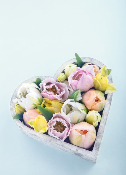 Tulipani colorati in un vaso a forma di cuore
 - Foto, immagini