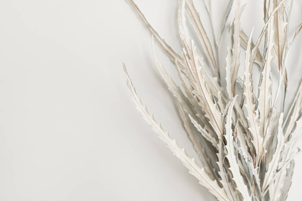 Ramo de hojas blancas secas sobre fondo blanco. Composición floral mínima de vacaciones - Foto, imagen