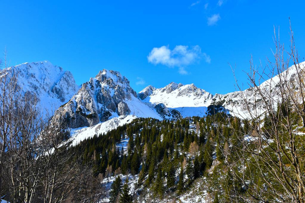 Vista del valle cubierto de nieve en las montañas Karavanke en Gorenjska, Eslovenia y un bosque de coníferas - Foto, imagen