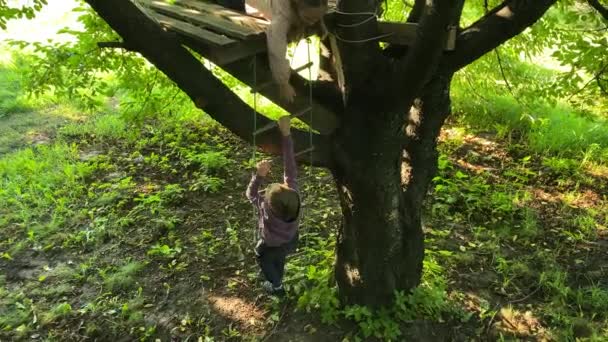 The joy of childhood by spending leisure time in a summer treehouse outdoors. Carefree elementary age kids playing at a play area on a tree. Playful atmosphere cherished memories in the great outdoors - Footage, Video