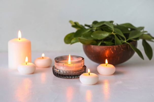 Brennende Kerzen und Topfpflanze auf weißem Hintergrund - Foto, Bild