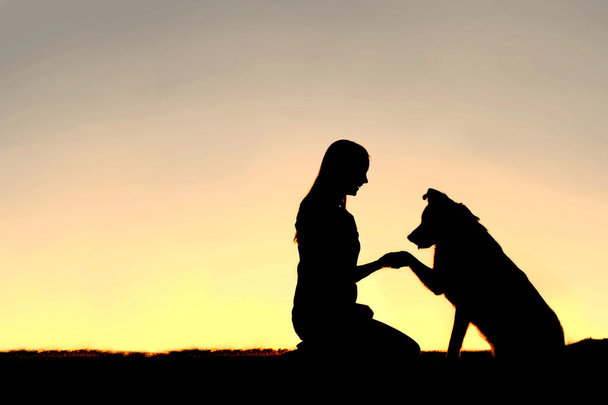 Σιλουέτα του νεαρή γυναίκα και το σκυλί κατοικίδιων ζώων χειραψία στο ηλιοβασίλεμα - Φωτογραφία, εικόνα