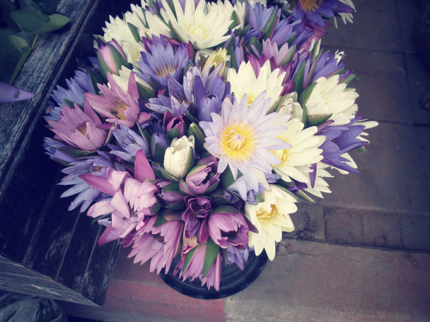 Цветы лотоса
 - Фото, изображение