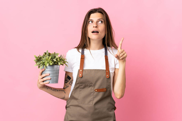 Kertész nő kezében egy növény elszigetelt rózsaszín háttér gondolkodás ötlet rámutatva az ujját fel - Fotó, kép