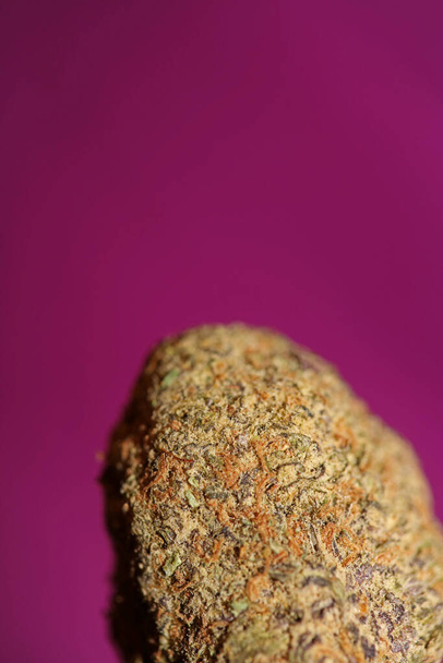 Közelről Cali elképesztő hatalmas virágzó orvosi marihuána bimbók részletei cannabis lila hátterű nagy méret kiváló minőségű azonnali nyomatok - Fotó, kép