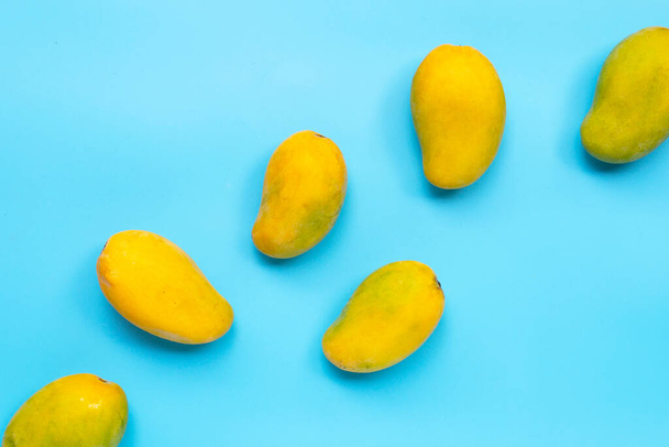 Trooppisia hedelmiä, mango sinisellä pohjalla. Yläkuva - Valokuva, kuva