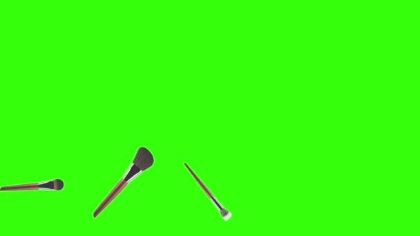 Accessoires de maquillage brosses animation écran vert - Séquence, vidéo