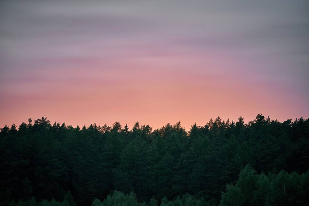 Ηλιοβασίλεμα πάνω από το δάσος. Μια λάμψη ηλιοβασιλέματος πίσω από ένα πυκνό δάσος δημιουργώντας μια όμορφη σιλουέτα των δέντρων ενάντια στον ουρανό το βράδυ. - Φωτογραφία, εικόνα