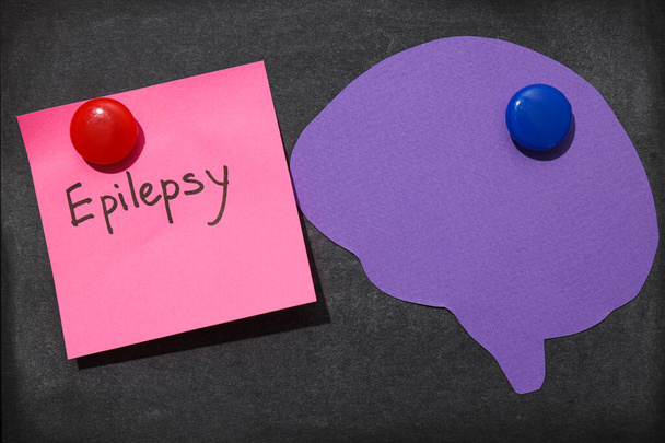 Concept de journée de l'épilepsie, maquette papier cerveau humain - Photo, image