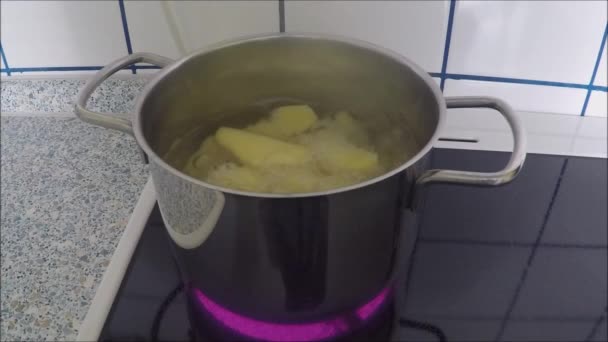 Cooking potatoes in boiling water cooking pot - Footage, Video