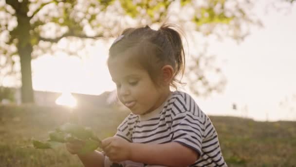 Szczęśliwa dziewczynka uważnie bada zielony liść, poważny wygląd, słoneczny letni dzień. Na świeżym powietrzu. - Materiał filmowy, wideo