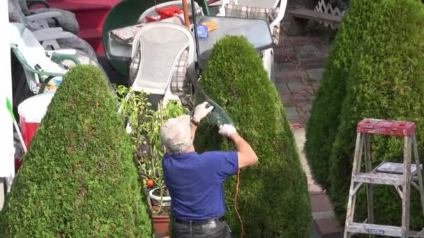  Landschaftsgärtner setzt Elektroschere bei Hecken- und Gartenarbeiten ein - Filmmaterial, Video