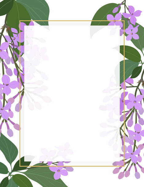 Obdélníkový rám s fialovými květy šeříku a rostlinami na bílém pozadí. Vektorová ilustrace. - Vektor, obrázek