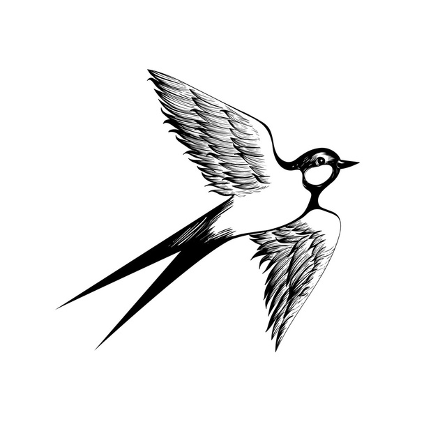 Hand getekend vliegende swallow silhouet - Vector, afbeelding