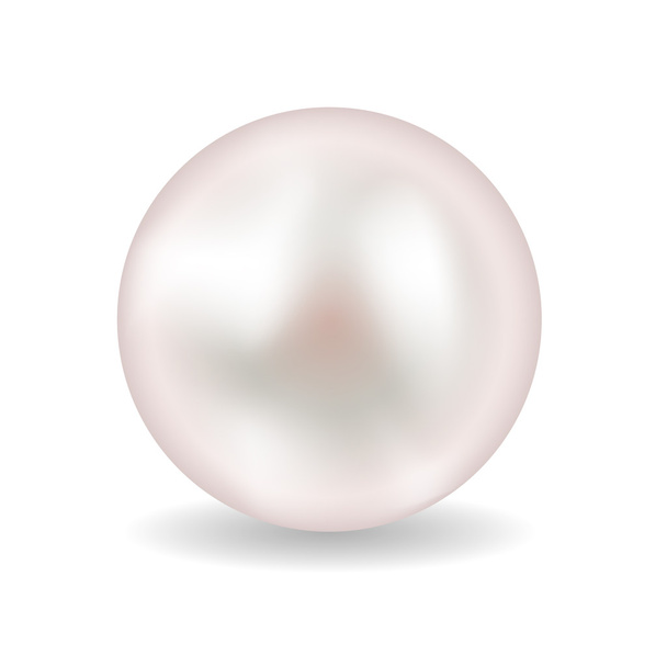 Illustrazione vettoriale perla
 - Vettoriali, immagini
