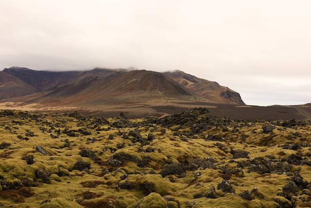Berserkjahraun es un campo de lava de 4000 años de antigüedad en Islandia. Está situado en la península de Snfellsnes  - Foto, Imagen
