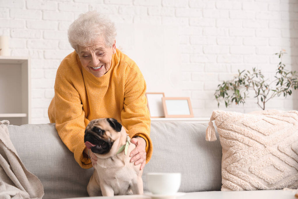 Seniorin mit Mops auf Sofa zu Hause - Foto, Bild