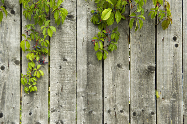 dřevěný plot - Fotografie, Obrázek