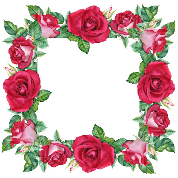 Πλαίσιο με κόκκινα άνθη τριαντάφυλλου ανθίζει, φύλλα και μπουμπούκια. Χειροποίητη ακουαρέλα που απομονώνεται σε λευκό φόντο. Για clip art, κάρτες, προσκλήσεις, ετικέτα - Φωτογραφία, εικόνα