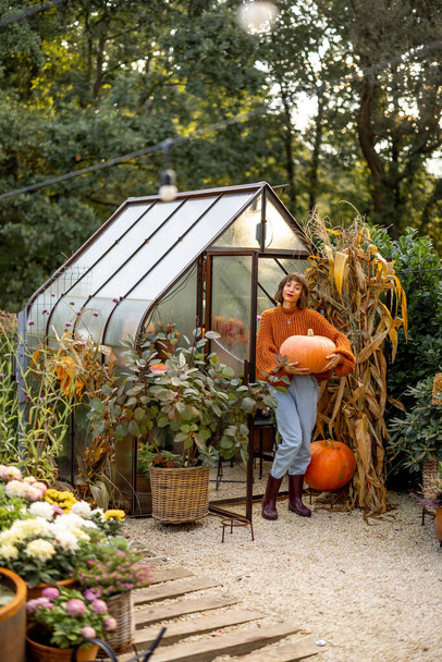 Γυναίκα κουβαλάει κολοκύθα, διακοσμώντας τον κήπο της για διακοπές το φθινόπωρο. Έννοια της διακόσμησης, διακοπές Ευχαριστιών και κηπουρική - Φωτογραφία, εικόνα