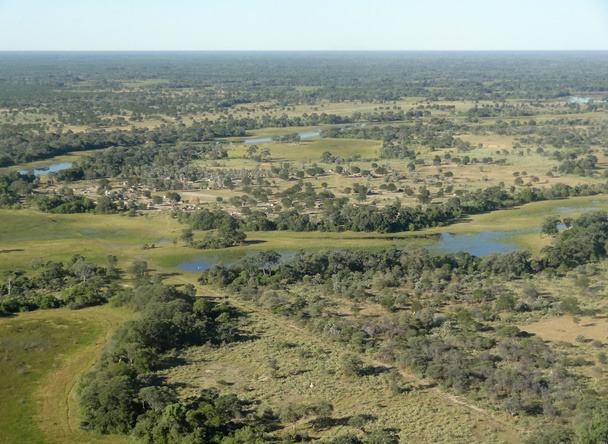 Okavangodelta - Foto, afbeelding