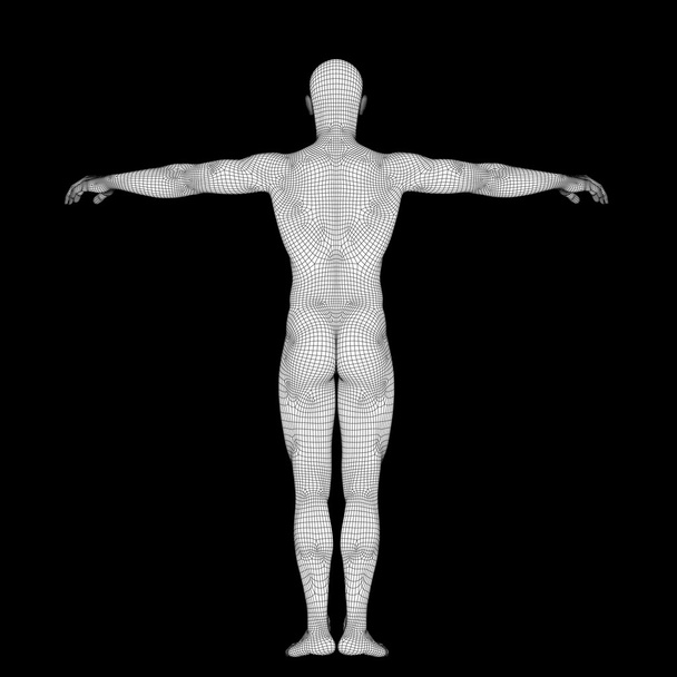 Masculino feito de wireframe branco
 - Foto, Imagem