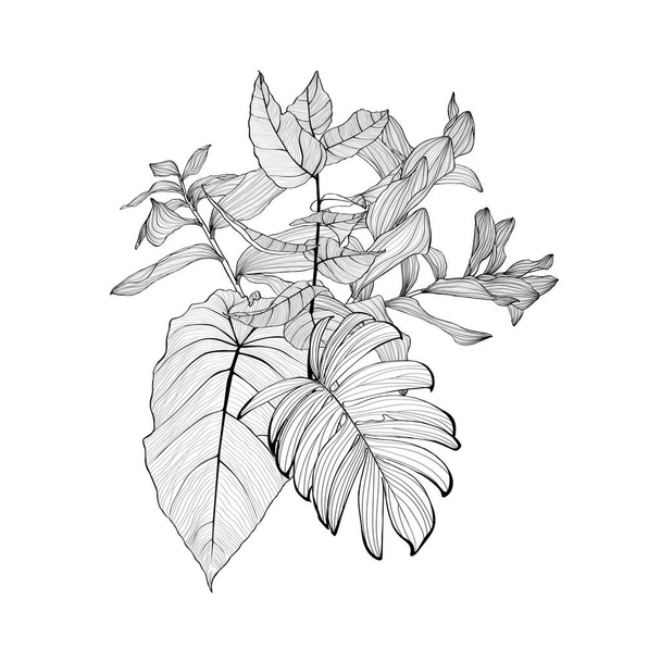 Bukiety kwiatowe z ręcznie rysowane zioła linii, tropikalne liście palmy w stylu szkicowym. - Wektor, obraz