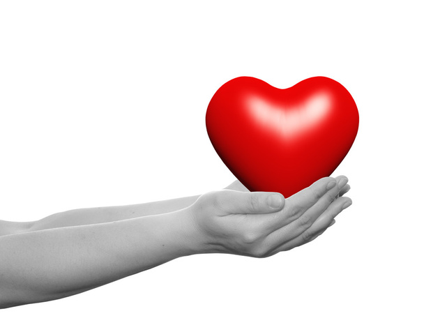 Сердце в руках человеческих
 - Фото, изображение