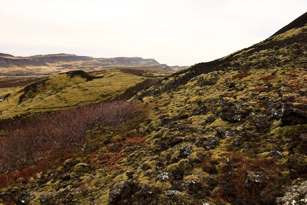 Grabrokkrater, Grabrokargigar, is sinds 1962 een beschermd natuurgebied in de Borgarfjor regio in het westen van IJsland.. - Foto, afbeelding