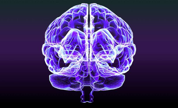 Τμήμα του εγκεφάλου φαίνεται στο προφίλ, τμήματα του εγκεφάλου. Εκφυλιστικές ασθένειες, Πάρκινσον, συνάψεις, νευρώνες, Αλτσχάιμερ. Ανθρώπινη ανατομία, εγκεφαλική σάρωση. 3d απόδοση - Φωτογραφία, εικόνα