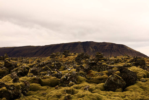 Nationaal park Snaefellsjokull is een nationaal park in de gemeente Snaefellsbaer in het westen van IJsland. - Foto, afbeelding