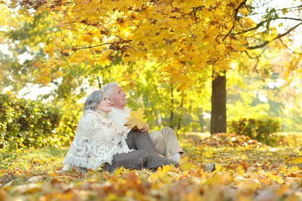 Senior couple in autumn park - Fotografie, Obrázek