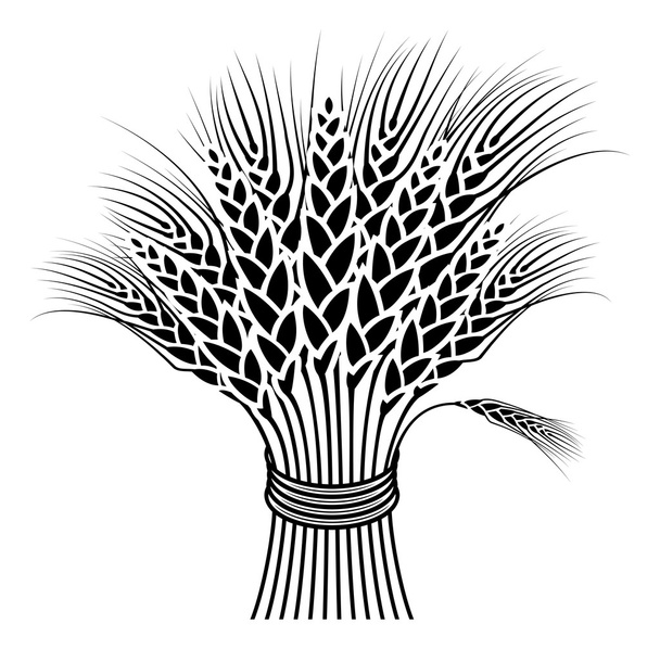 Пшеничный пучок
 - Вектор,изображение