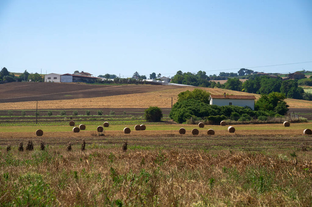 Αγροτικό τοπίο στο Sannio, επαρχία Benevento, Ιταλία, το καλοκαίρι - Φωτογραφία, εικόνα