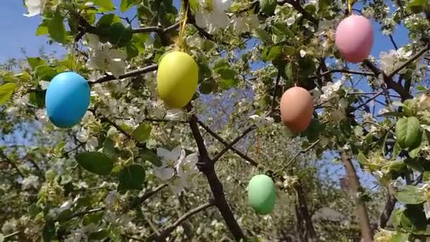 Veselé Velikonoce. rozkvetlý strom zdobený ozdobnými velikonočními vejci. Jarní zahrada, přípravy na Velikonoce. Selektivní soustředění. Náboženská dovolená - Záběry, video