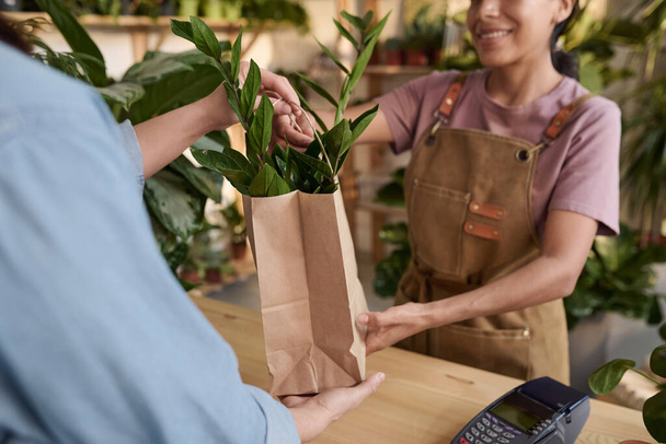 Sac en papier de passage de vendeuse souriante méconnaissable avec plante d'intérieur au client au magasin - Photo, image