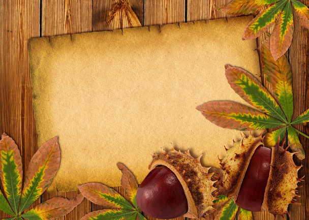 0ld paper background with autumn chestnuts and leaves - Фото, зображення