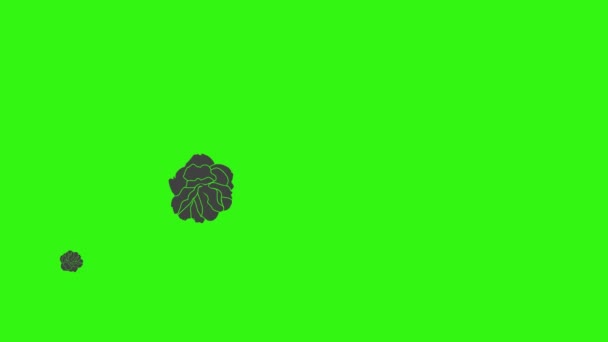 Μαύρα τριαντάφυλλα γραφικά animation σε πράσινο στοιχείο βίντεο οθόνη - Πλάνα, βίντεο