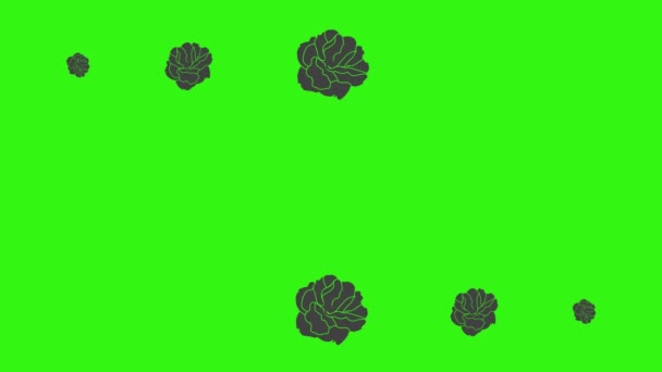 Zwarte rozen grafische animatie op groen scherm video-element - Video