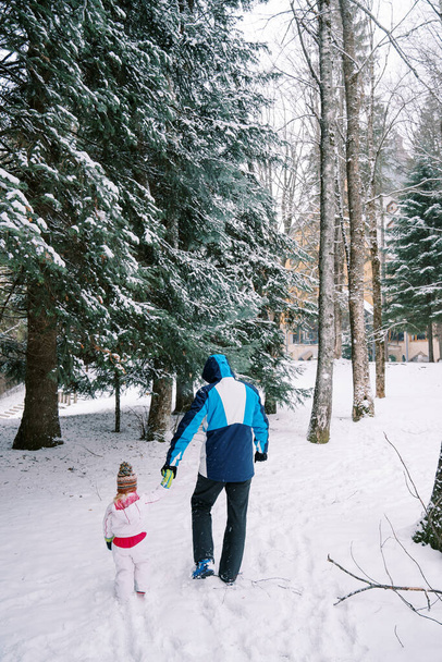 Padre y un niño pequeño en trajes de esquí caminan tomados de la mano a través de un bosque nevado. Vista trasera. Foto de alta calidad - Foto, imagen