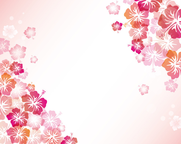 φόντο hibiscuses - Διάνυσμα, εικόνα